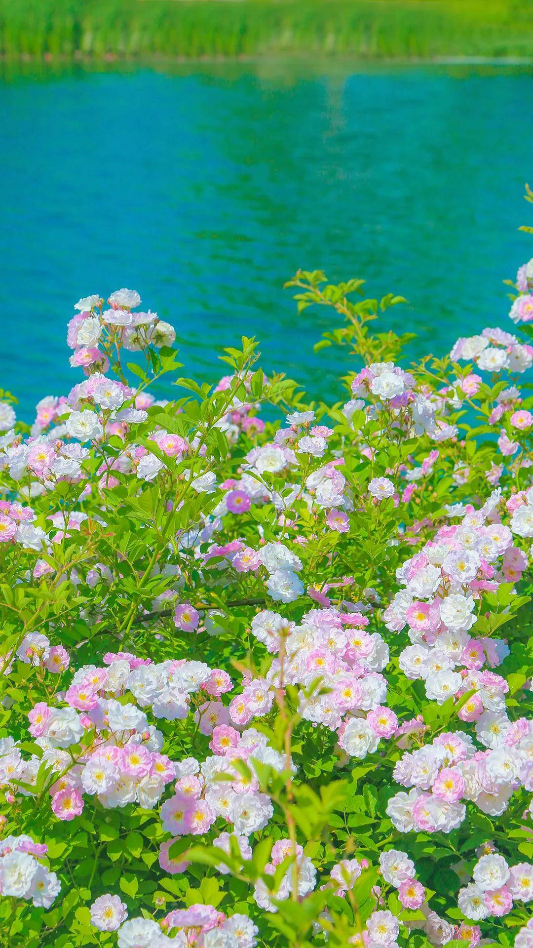 来这些"多巴胺"景区解锁一夏好心情