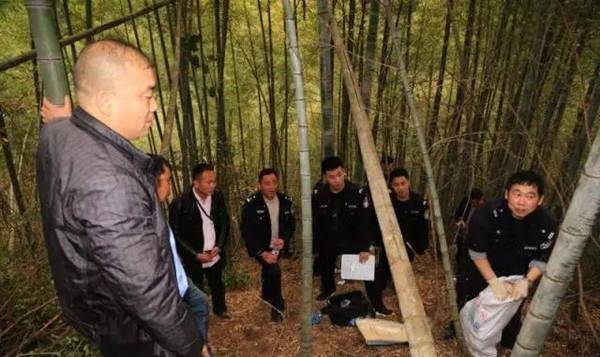 缙云绑架杀人,嫌疑人深山逃窜,两人自首,一人被发现时已成白骨