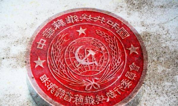 1963年,一枚印章在山中被伐木工发现,公安得知后调3卡车兵搜山