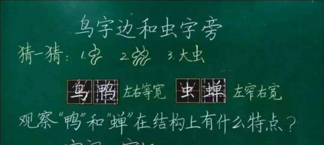 语文老师一手漂亮的板书使我惊艳,他让学生爱上了书法_影响_黑板_同学