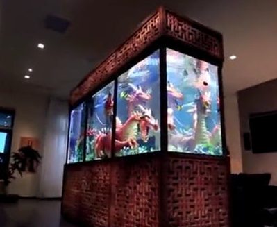 鱼缸_神兽_外国