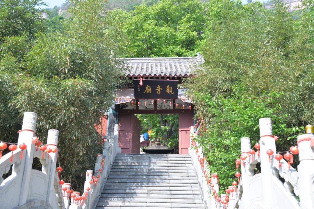 蟾宫折桂 招财进宝 | 王母山夏日之旅无限恣意美好!_金蟾_景区_www