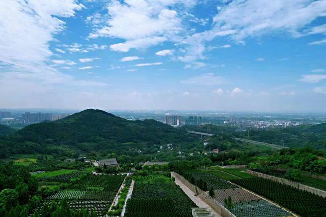 成都公墓_新都龙凤山公墓_龙凤山公墓具体价格_位置_咨询电话_服务