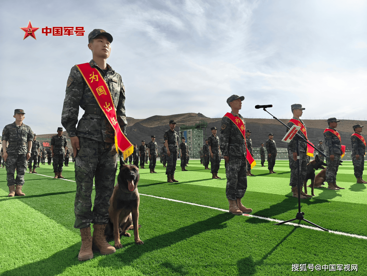 为国出征,"黄金搭档"简历大揭秘→_军犬_侦查_训导员
