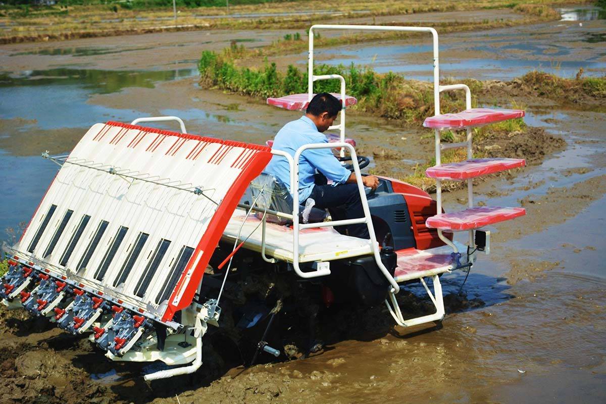 喜事产生"分歧",村民开崭新插秧机插秧,有人支持有人阻拦