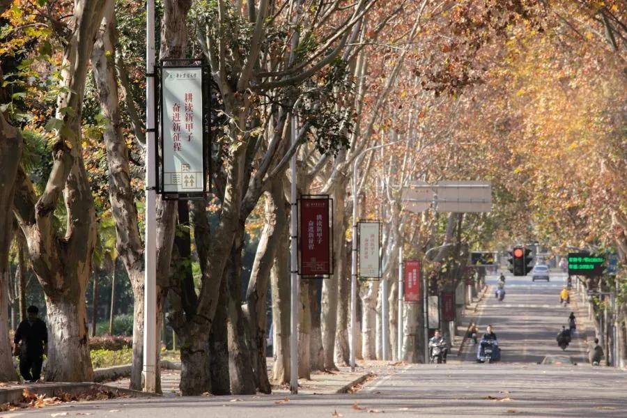 【择校攻略】华中农业大学——25艺术设计考研择校攻略06期