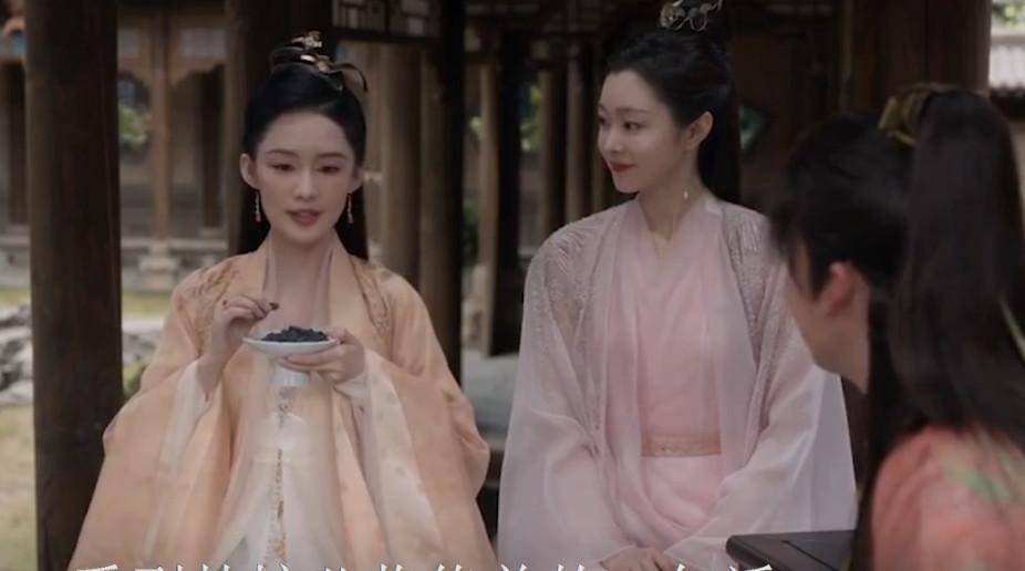 庆余年2:看到林婉儿临终前的一句话!才懂范闲为何夺爱二皇子