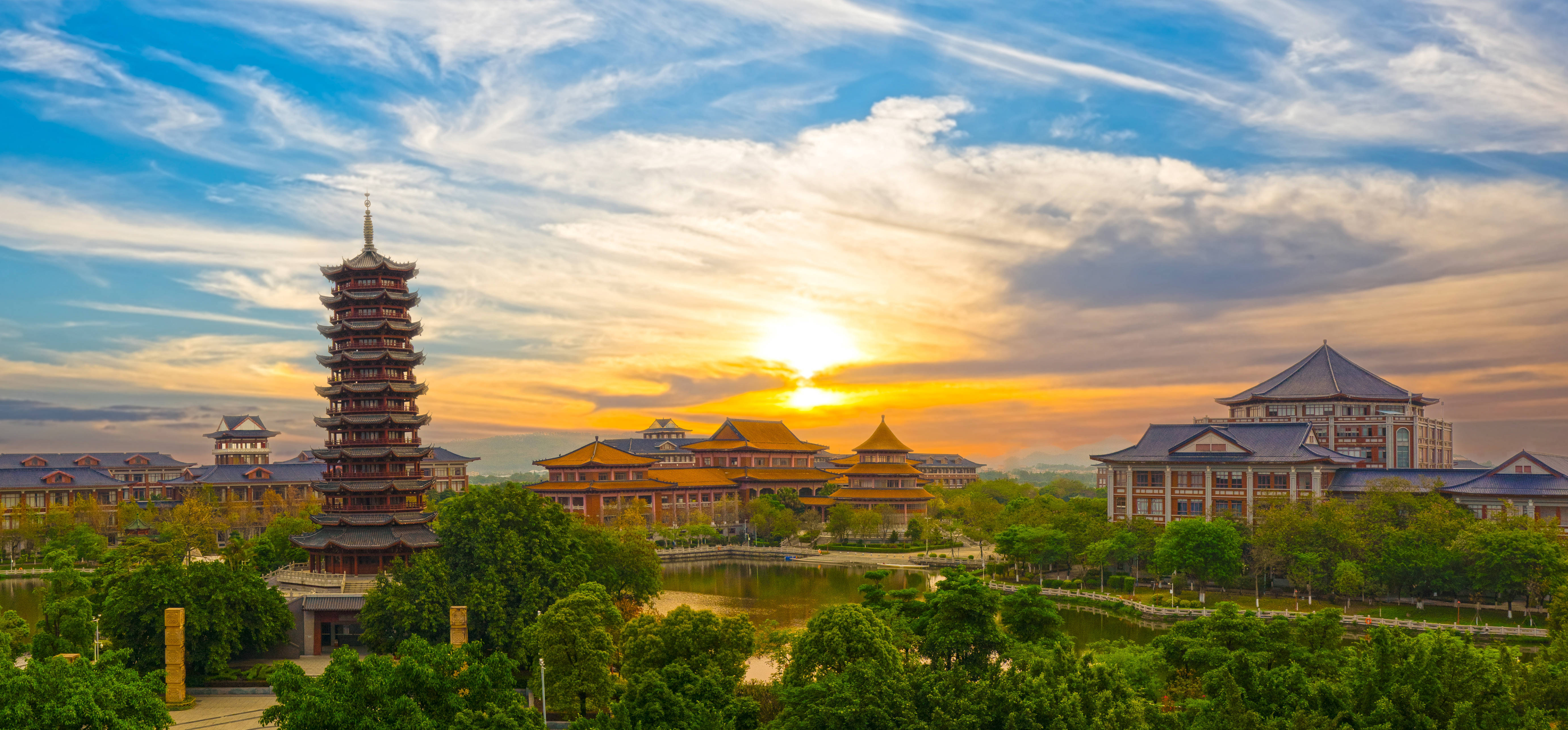 2024年南方医科大学继续教育学院成人高考招生专业汇总_康复_中药学_