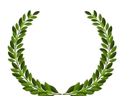 为何用橄榄枝来制作桂冠?橄榄有特殊地位?经济价值体现于何处?