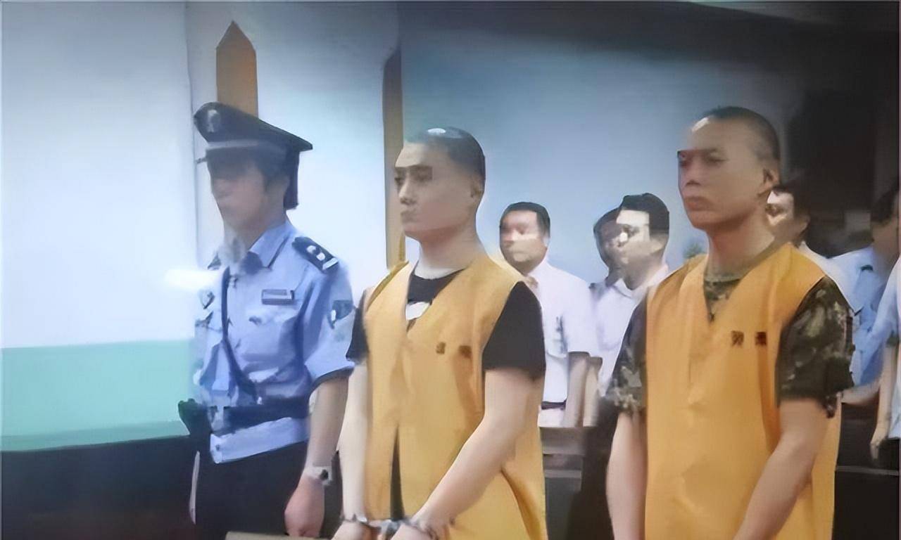 车主头部4下,换来车主终身残疾,自己10年有期徒刑_蔡洋_李建利_日本