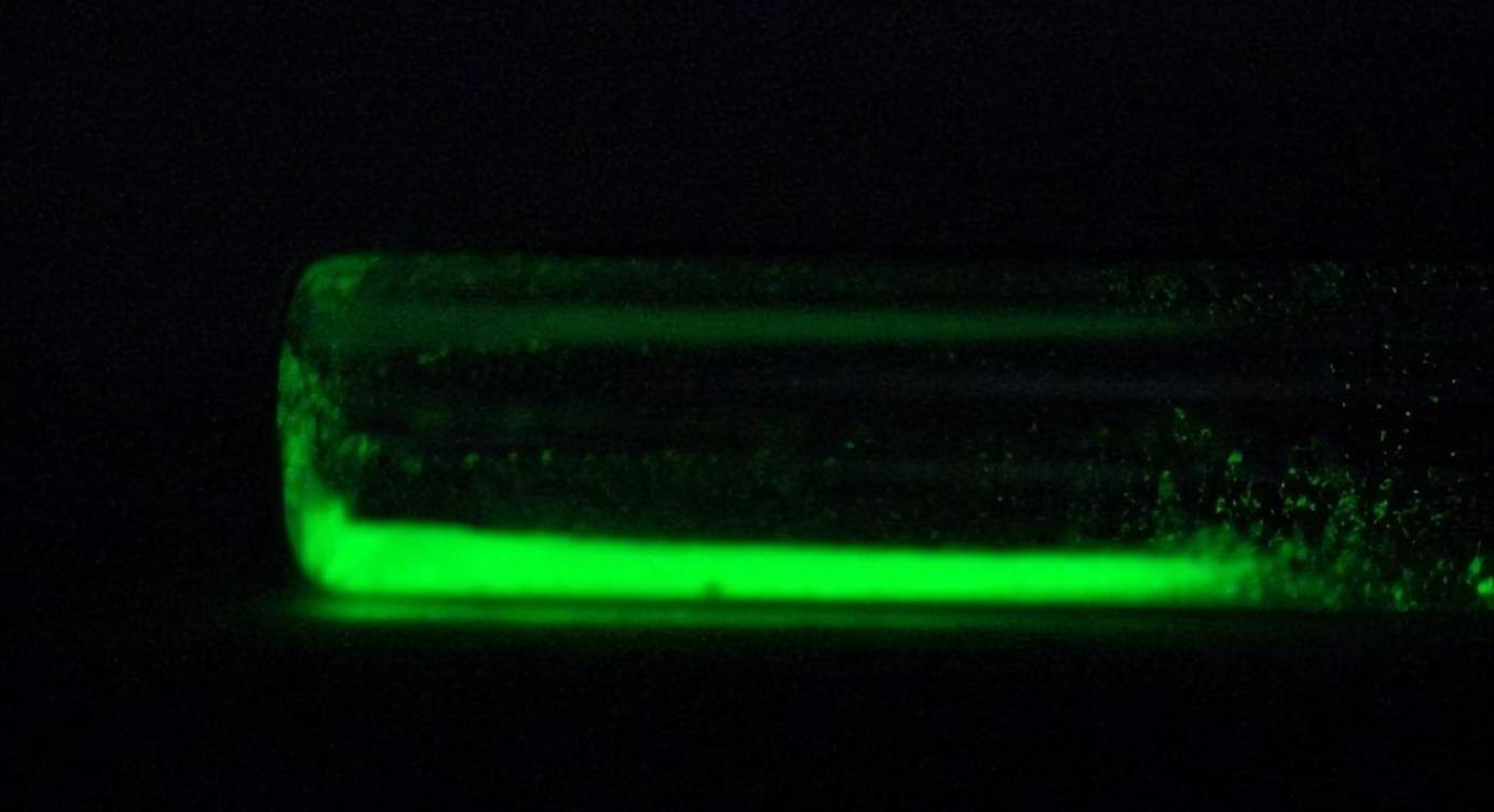 高材生赵忠尧扮成乞丐运送镭,中国首颗原子弹的成功,离不开他