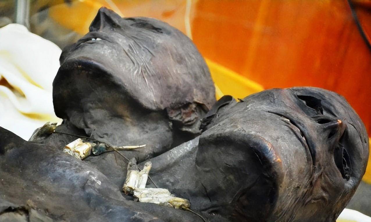 7米的神秘双头巨人,究竟是真实的,还是虚构的故事?