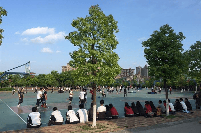 成都市三原外国语学校录取分数线-三原外国语最新招生