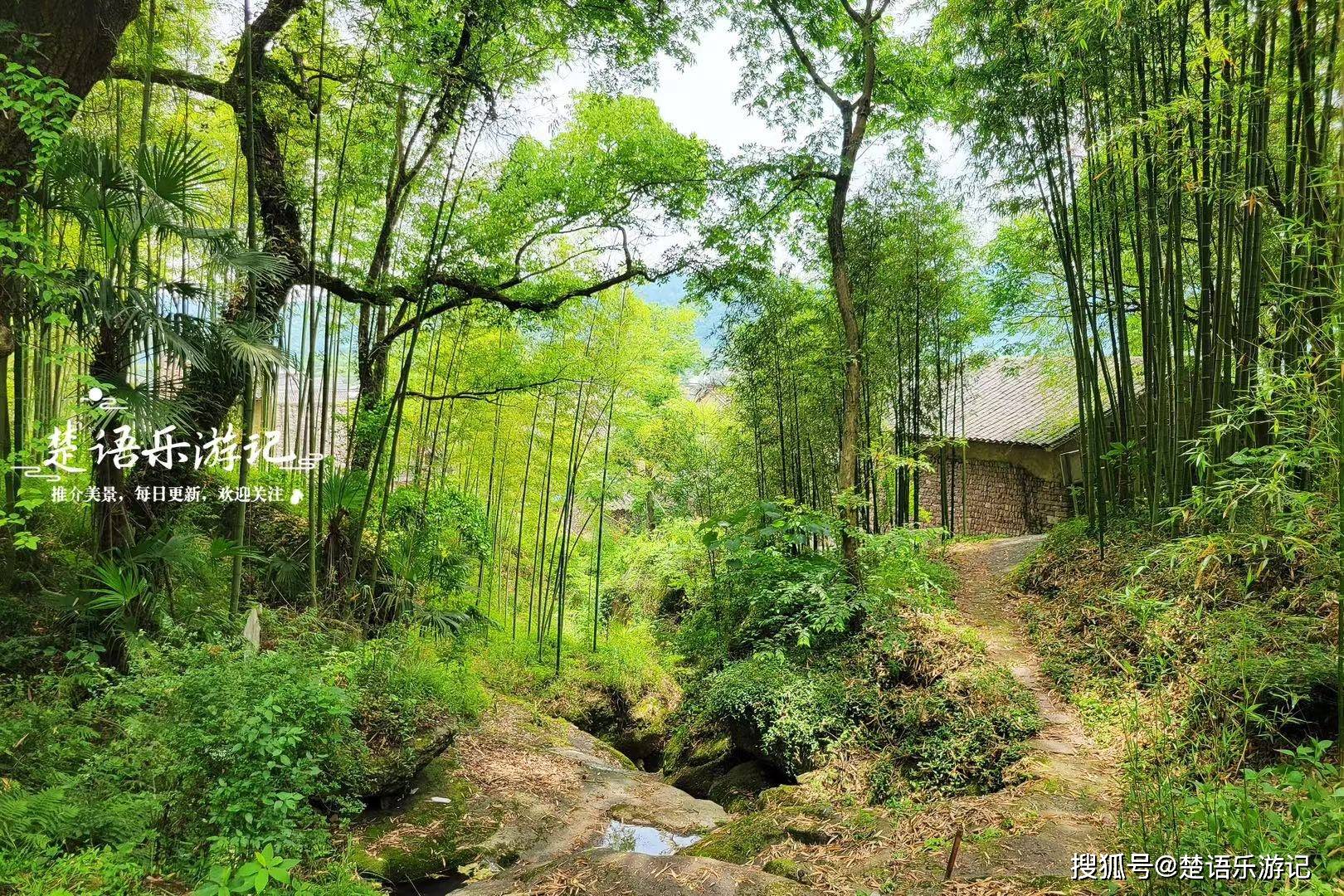 宁波绿野山居景区图片