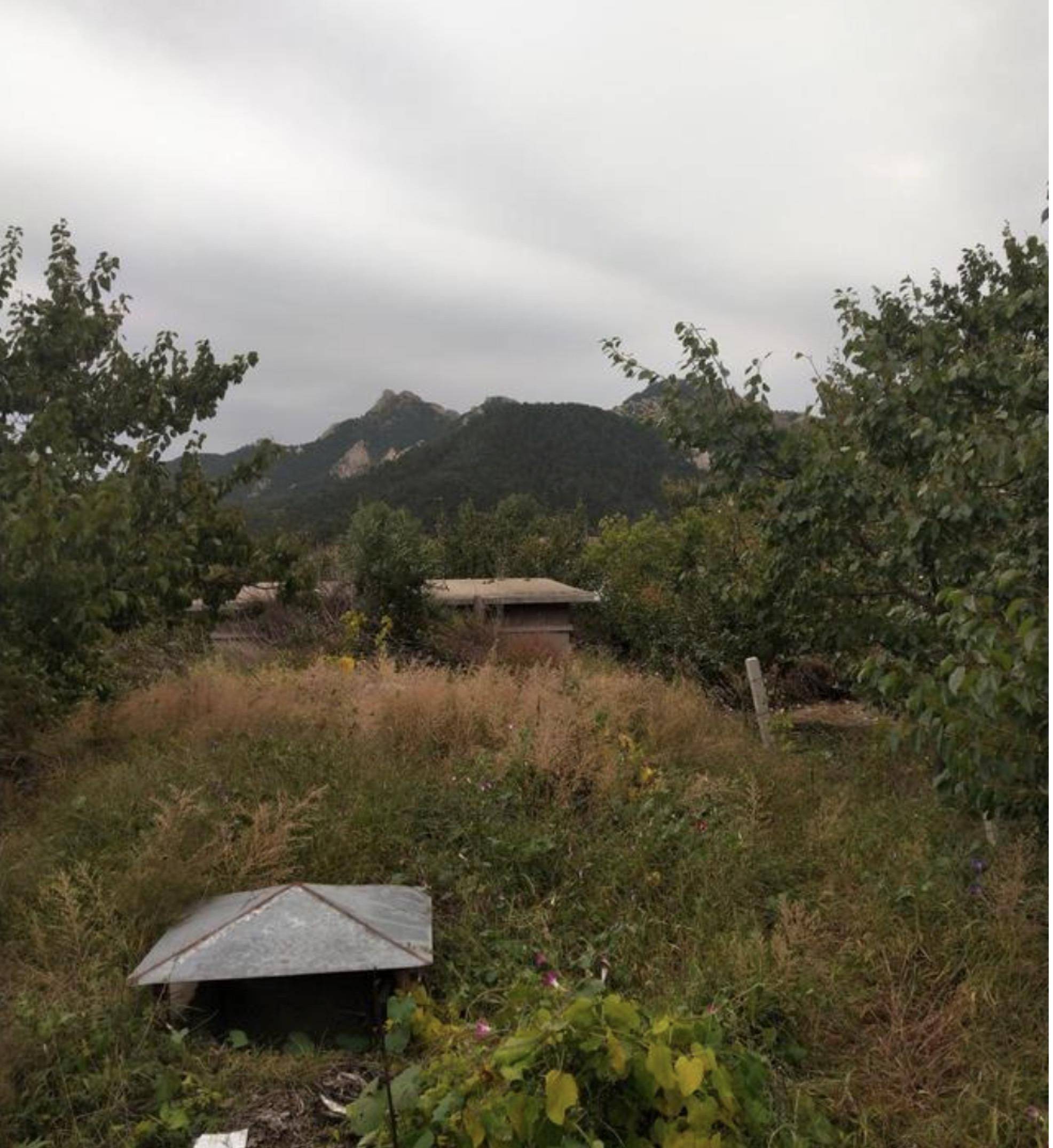 大辽贤王耶律宗政,终身不娶,为何墓中却合葬着自己的继母?