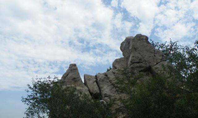 寿光的静山:我努力钻营了25亿年,却被你们这种新生的物种看扁