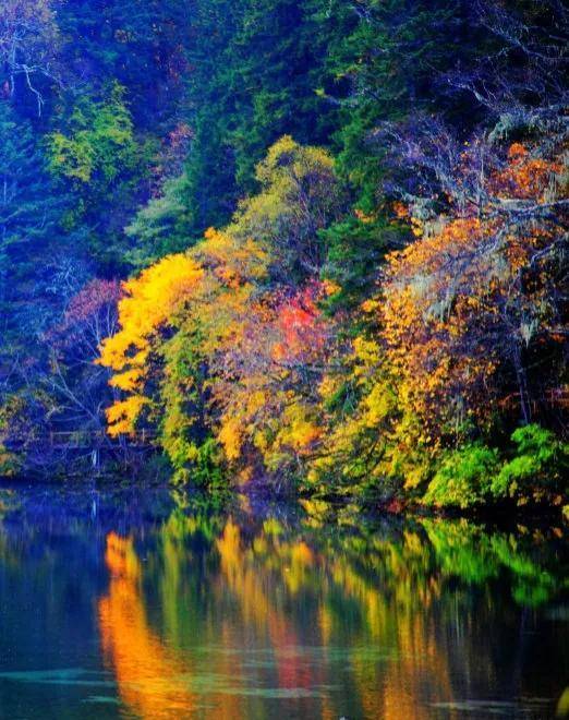 顶级绝美秋色美景,绚丽迷人