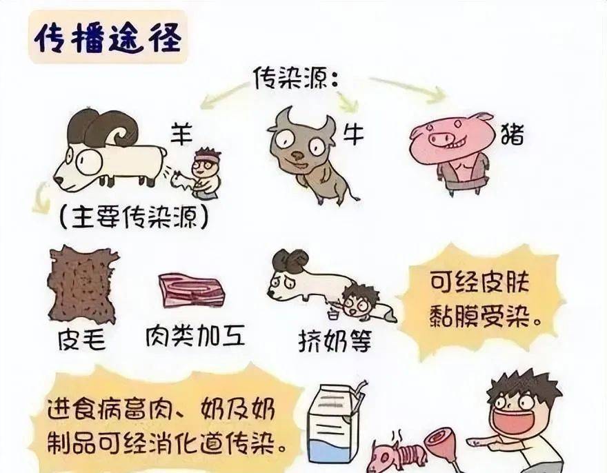 河南疾控6月健康提示_传播_猩红热_措施
