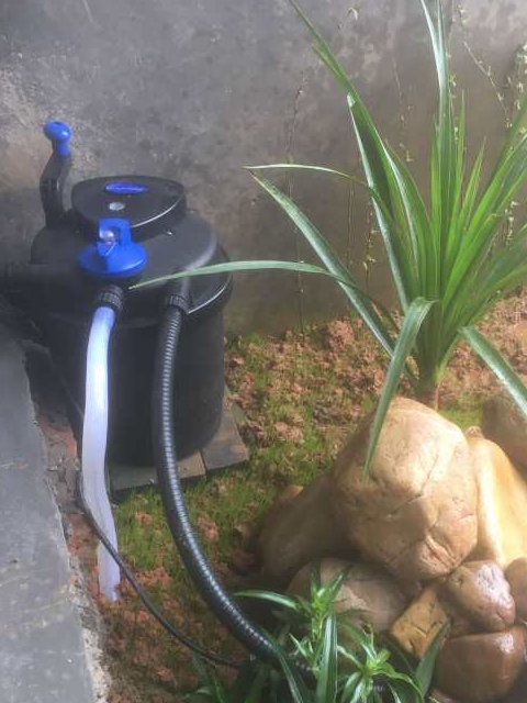 diy自建一个"鱼池"全过程记录,分享给有同样想法的你!