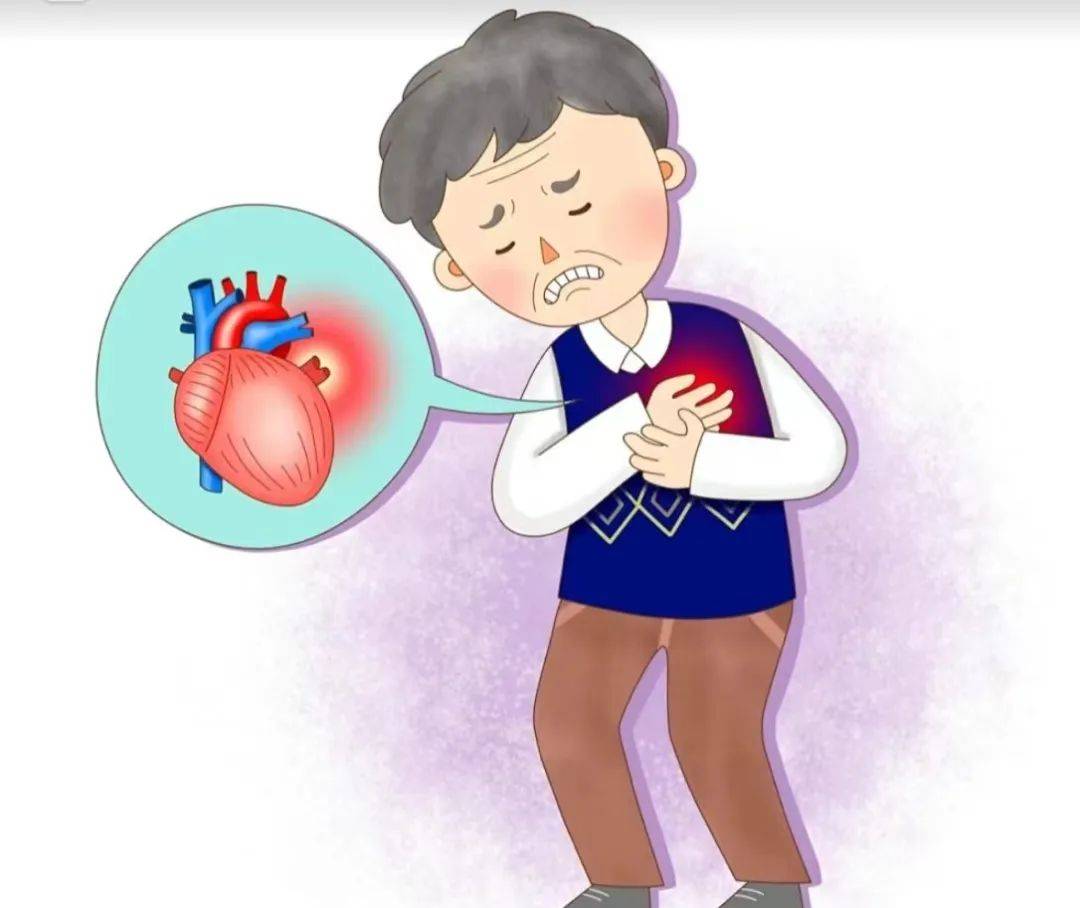 为何心脏每天跳10万次?这项检查能帮您看清它的一切!