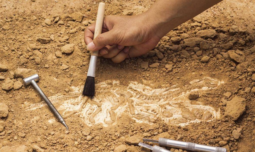 一组考古发掘现场工作照,大家能找到与盗墓的区别吗?