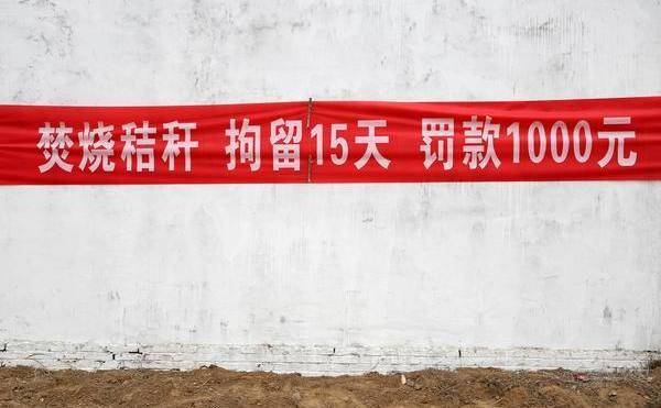 "最严"禁烧之下,为啥还有农民烧秸秆?