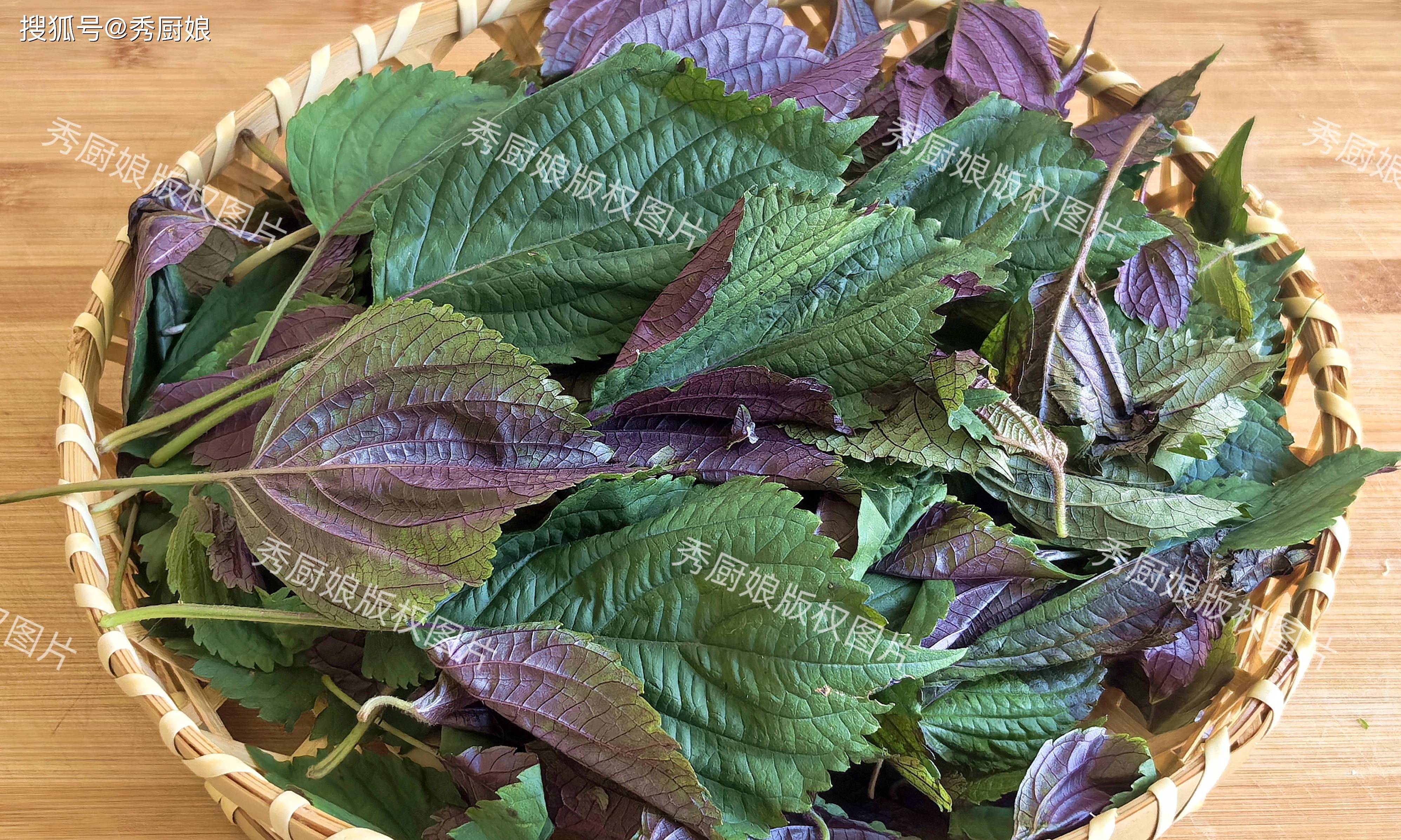 端午前,遇到这菜要使劲吃,鲜嫩营养,全身是宝,随手一拌真香!
