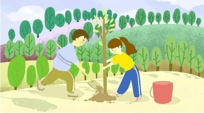 段元诚的绿色梦想植树造林的实践与坚持