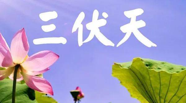 曹操替献帝办了这件事,民间有了"三伏天"