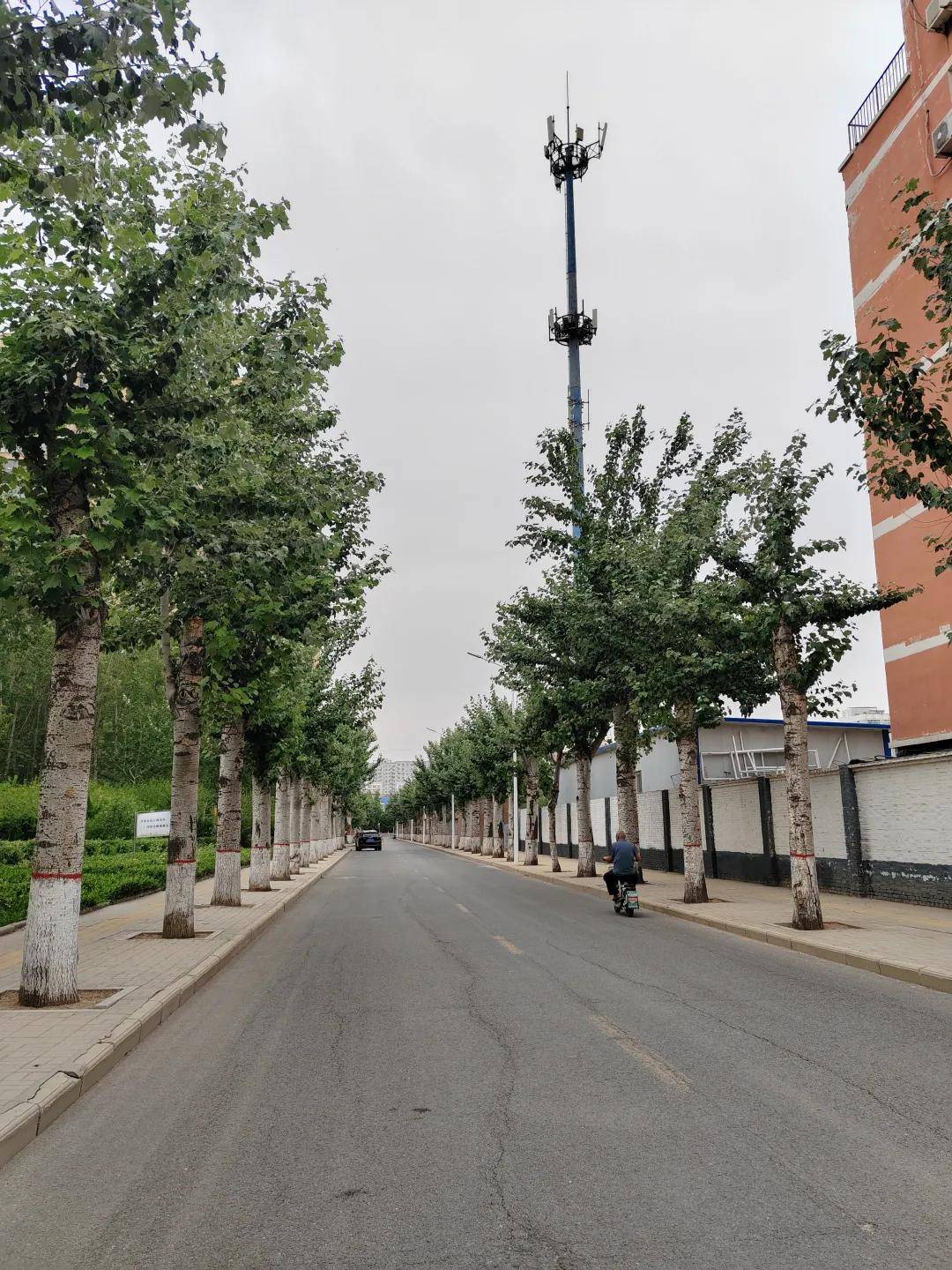 衡水市桃城区郑家河沿镇风光掠影