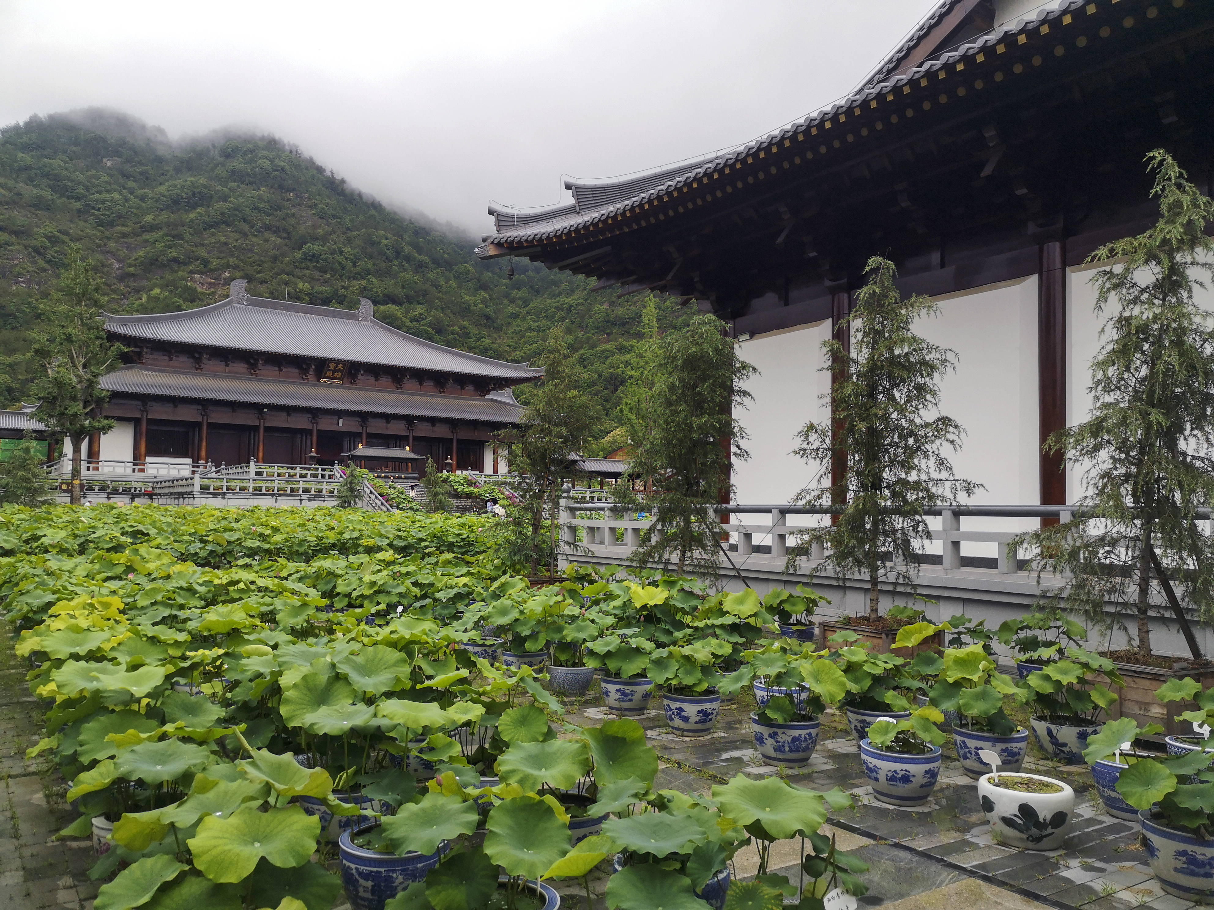 天台山护国寺地址图片