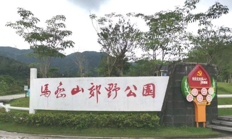 深大实验学子到比亚迪总部研学暨马峦山生态考察实践_比亚迪公司_保护