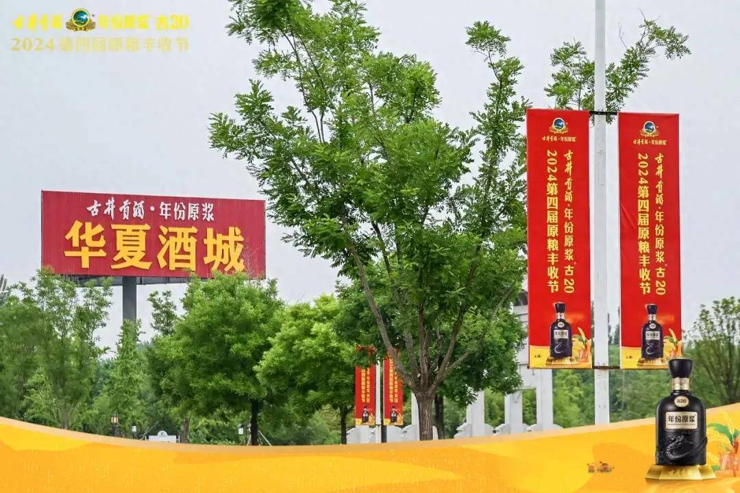 粮为酒之体,古井贡酒原粮从种到收品质体系全面解读!