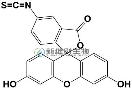 5-羧基荧光素-马来酰亚胺 5-fam-mal 787632-00-25-异硫氰酸荧光素乙