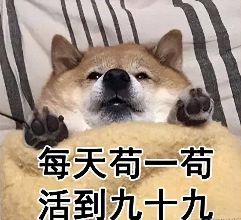 经济不景气,工作不好找:能苟尽量苟着