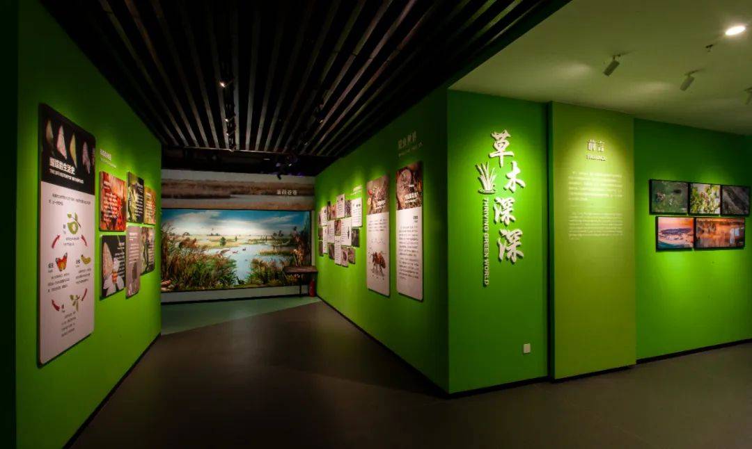 【天宁谛听】山东省济宁市微山湖生物多样性体验地室内自然科普馆