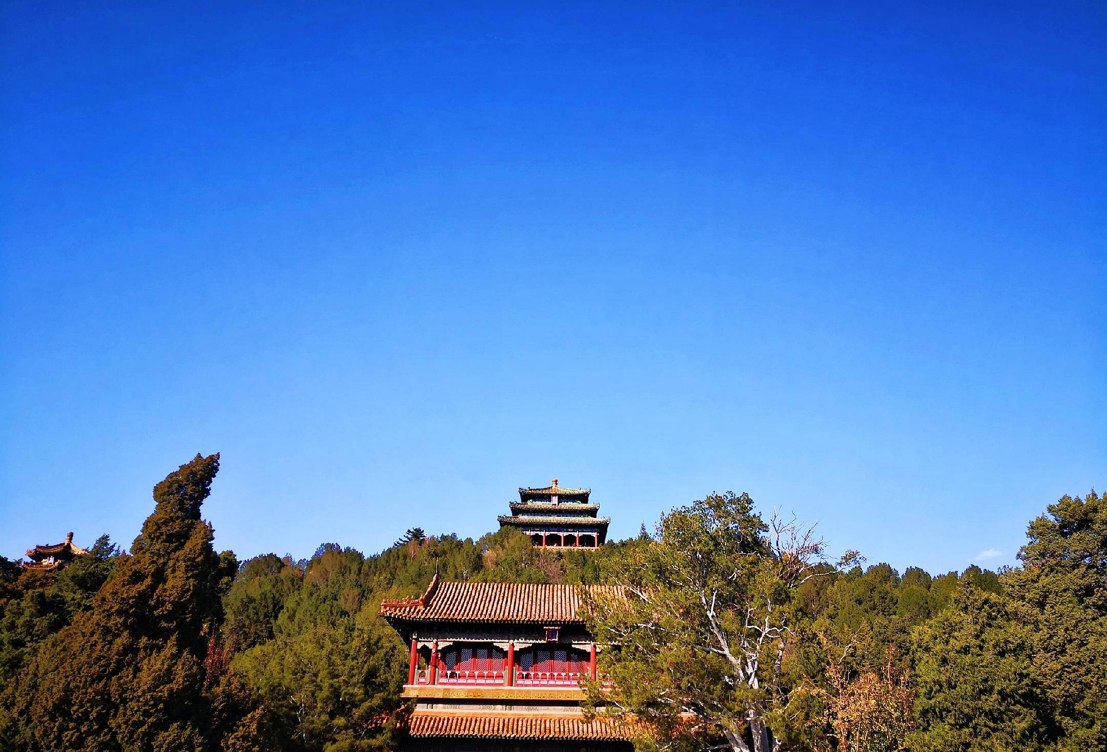 亲离,绝望的明崇祯皇帝在只有一位太监的陪同下,来到景山处的一颗树上