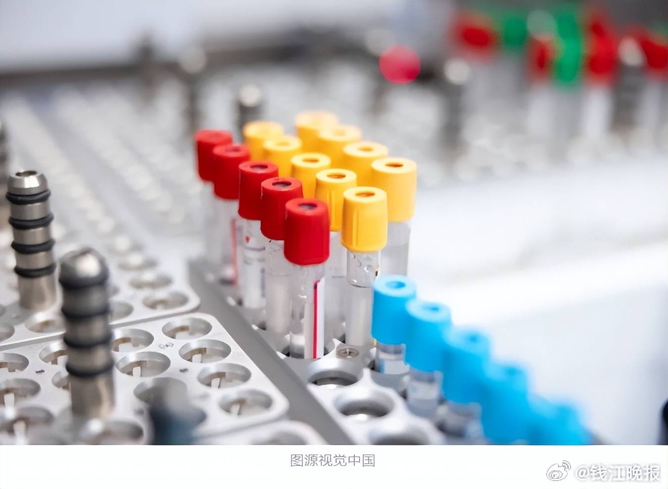 温州发现一例比熊猫血更稀有的恐龙血-温州女孩遇害最新情况视频