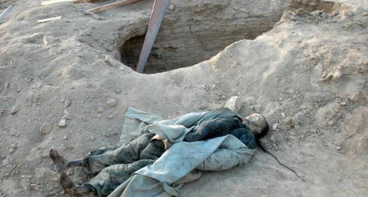 正如新疆火焰山的"僵尸"事件,就曾引起了社会的广泛关注与轰动.