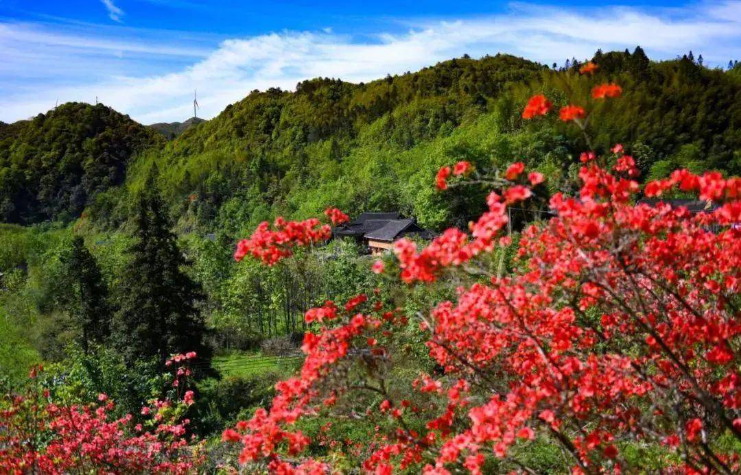 摄影_龙脊梯田_桂林