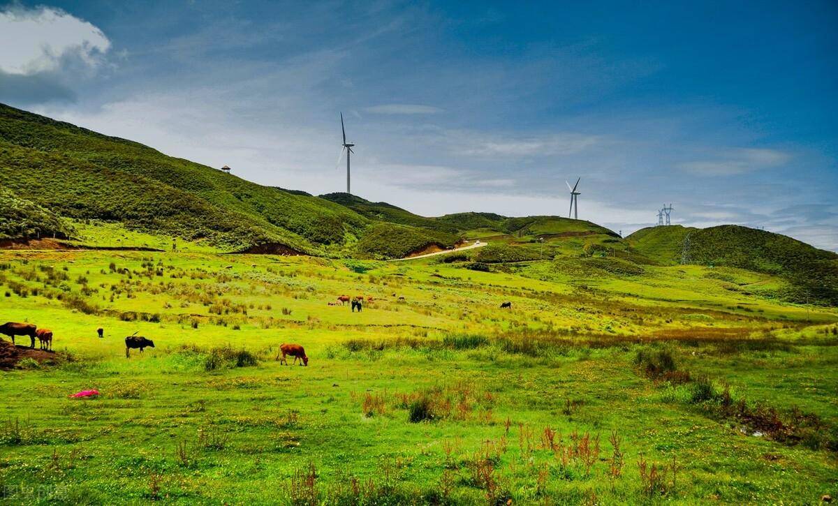 一家人到这里,早上骑马晒太阳,体验草原魅力,中午来一次户外烧烤,晚上