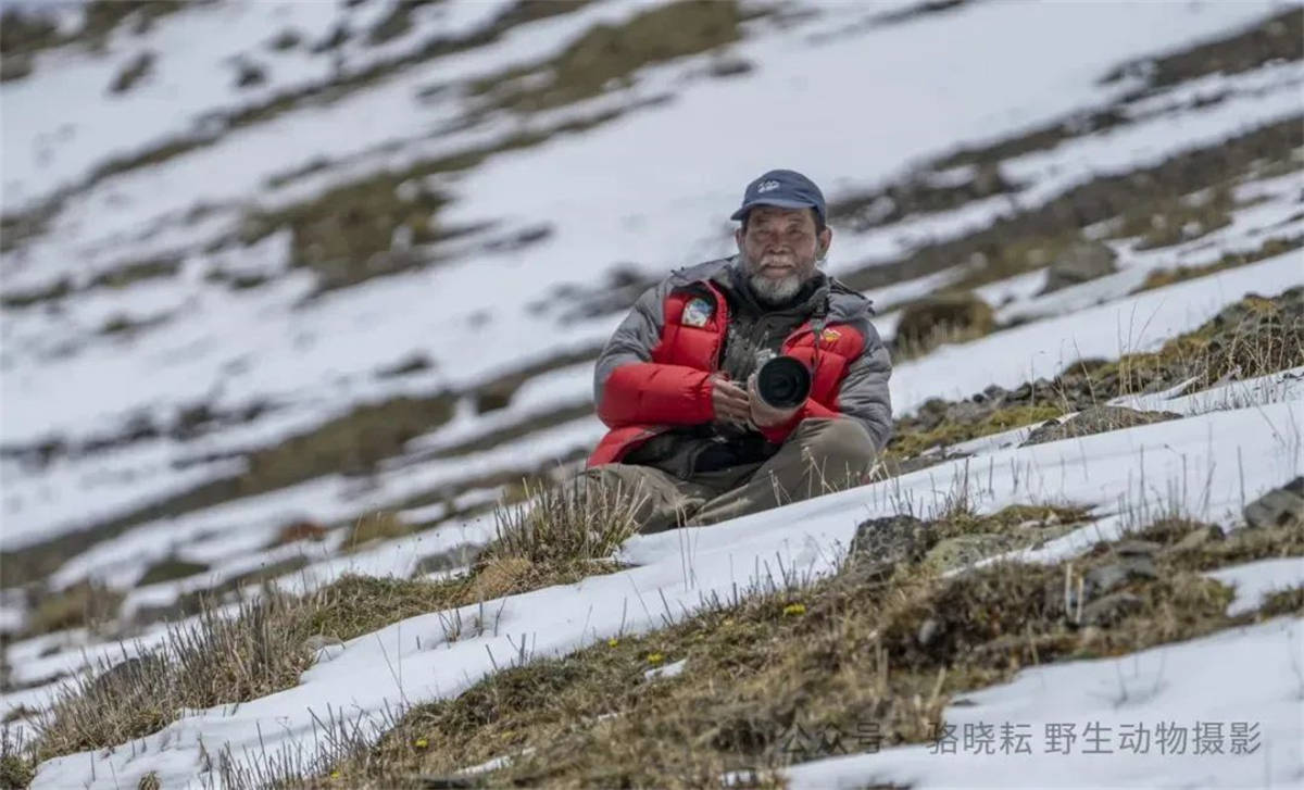 中国西部图片库·人物|吕玲珑:风光之美,美在忧伤
