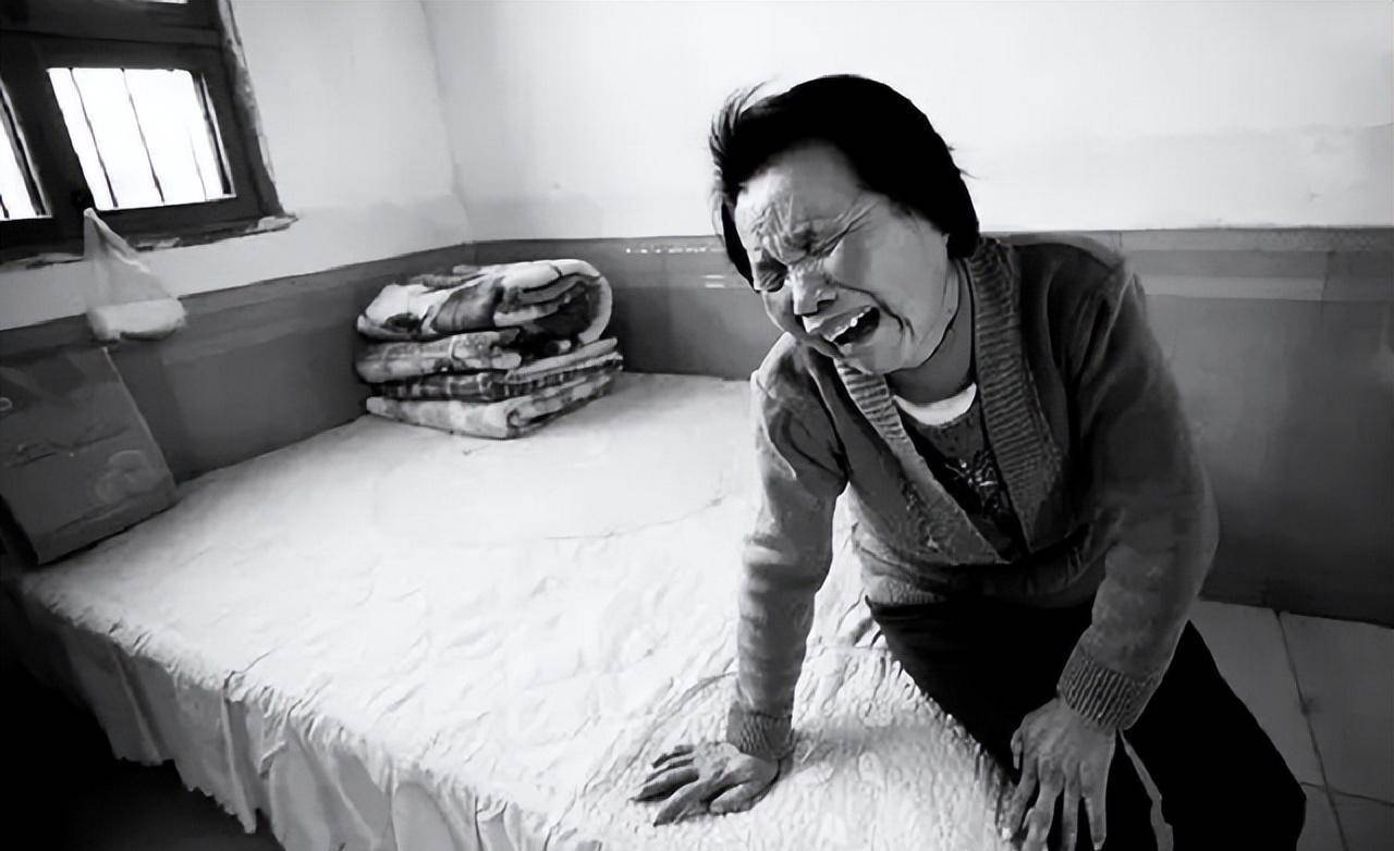 桩命案审理过程中,被告向原告下跪,出狱后竟成母子_王平_袁豪_李玉良