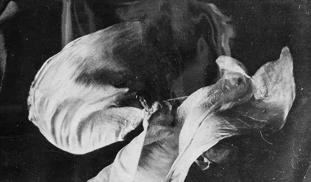 裕容龄:曾是慈禧御前女官,与太监相爱4年无果,晚年被打断双腿