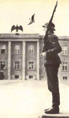 希特勒警卫队:党卫军王牌,它的毁灭代表着一个帝国的陨落