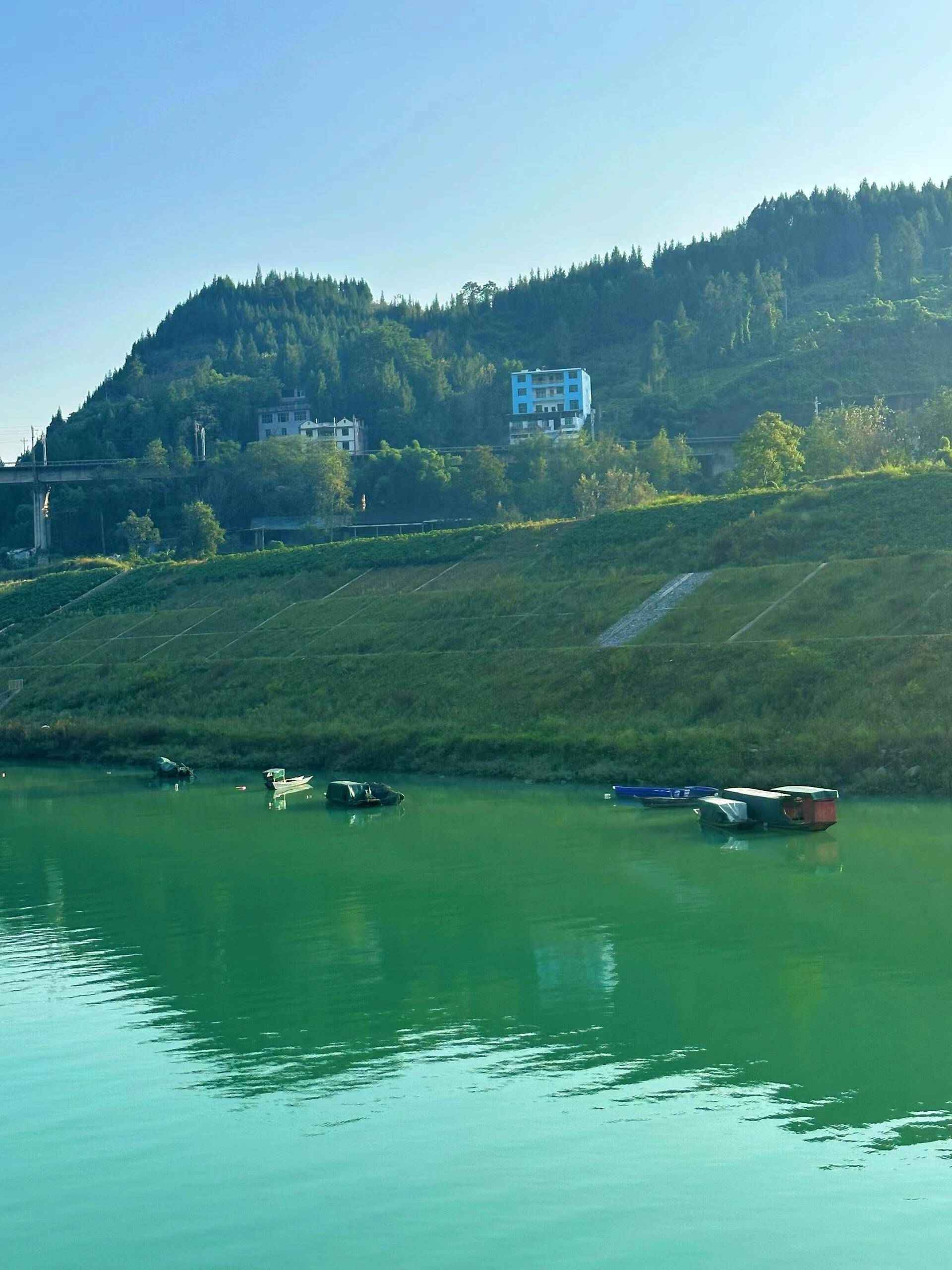 重庆旅游需要玩几天时间,重庆旅游玩几天最好重庆旅游多少天较好