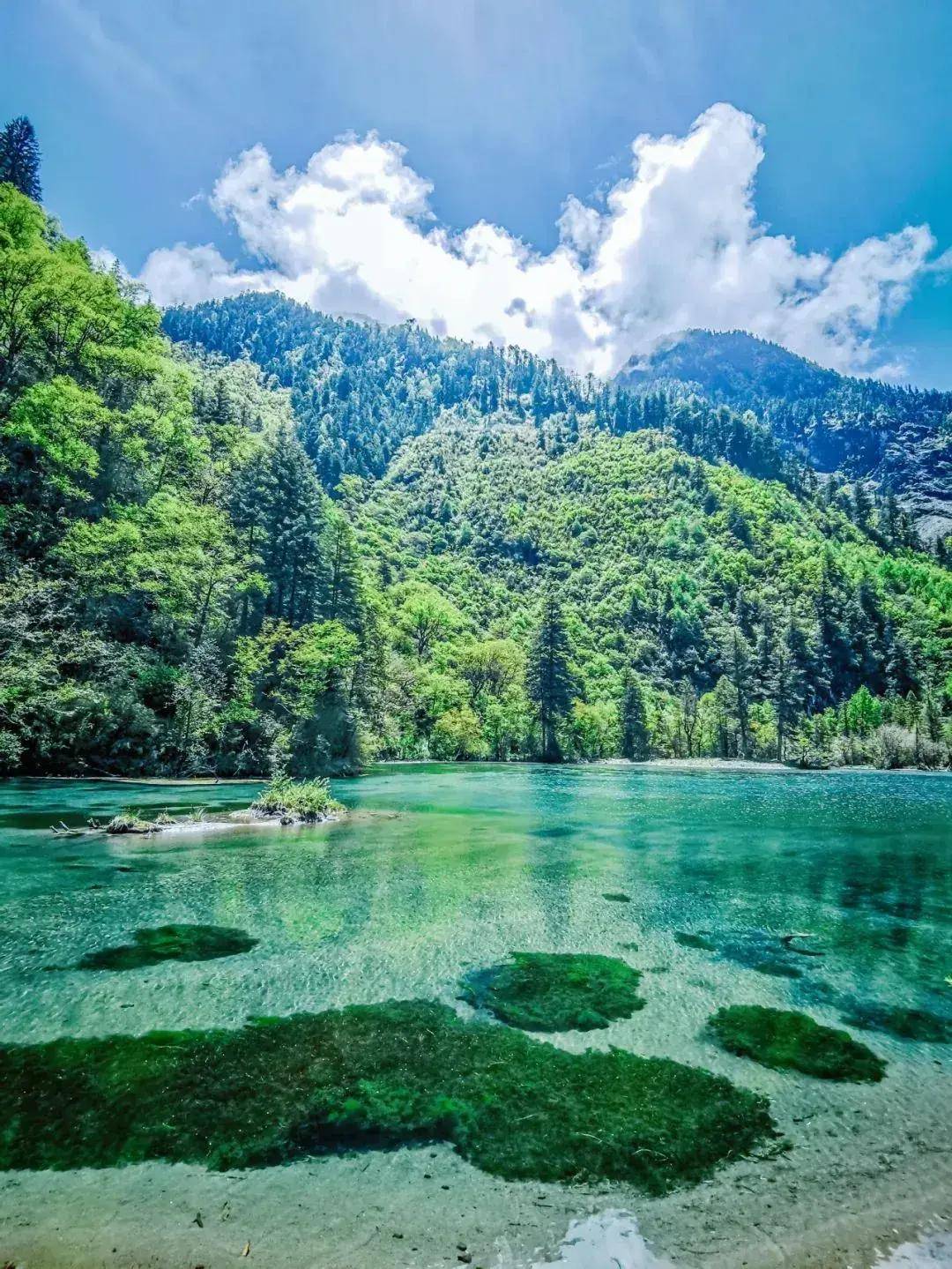 毕棚沟夏天图片