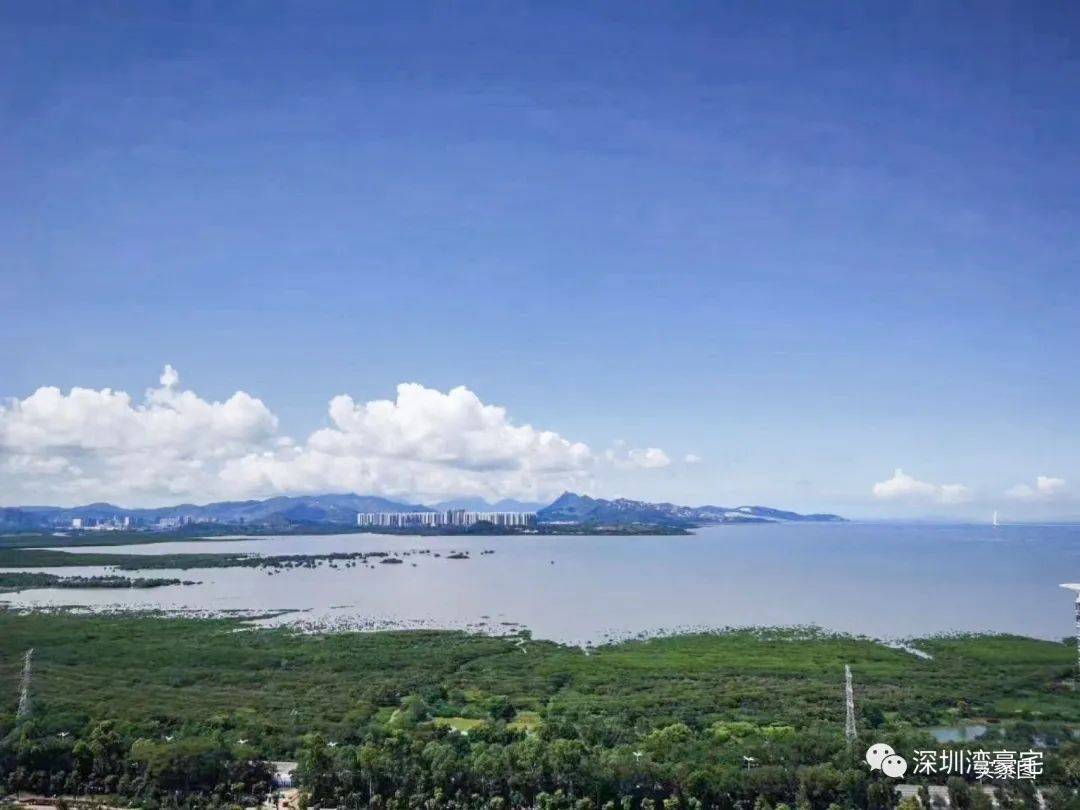 深圳中洲湾迎海二期售楼处电话→销售部首页网站→端午节特惠→24小时