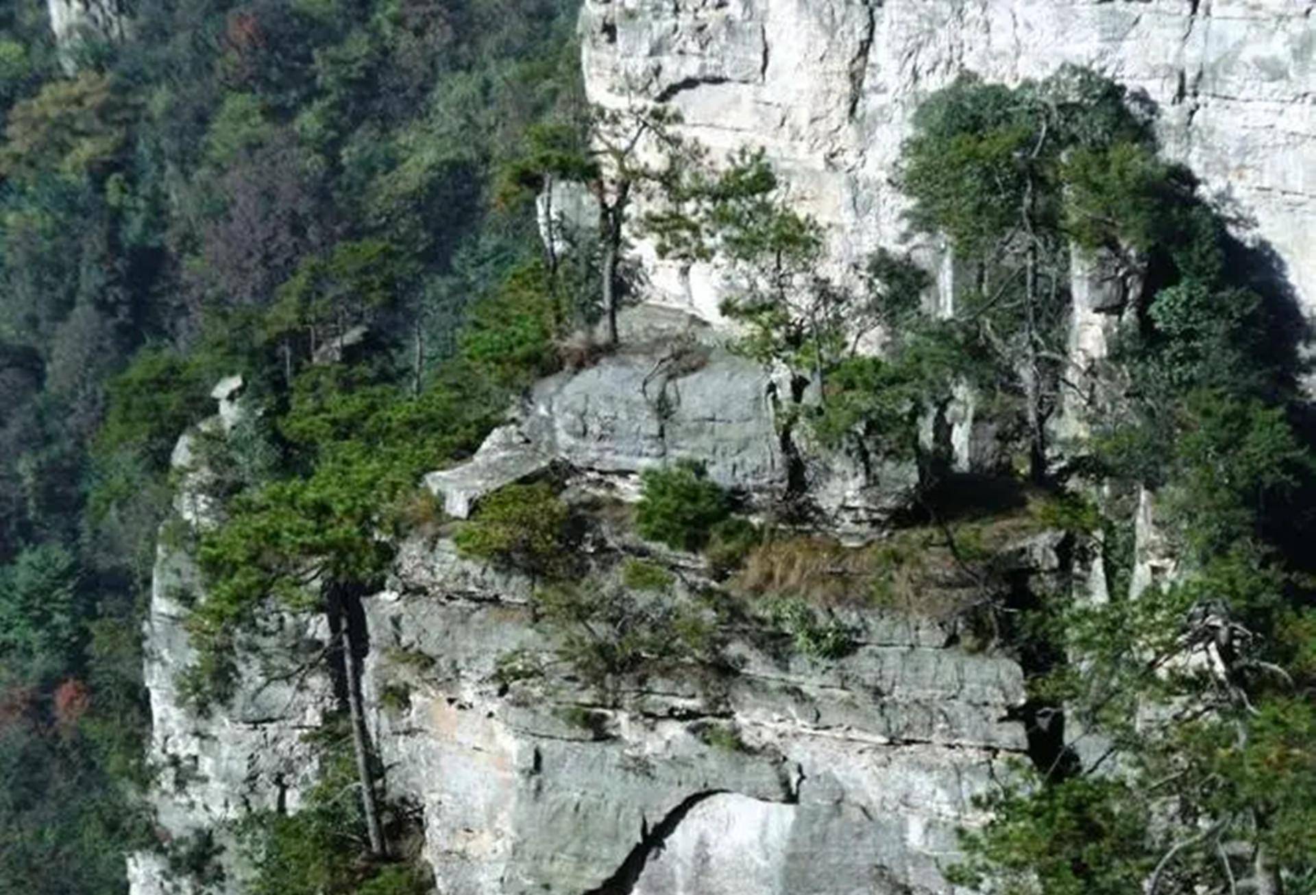 湖南神堂湾崖下"阴兵操练",2012年,科考探险队揭开崖下谜底