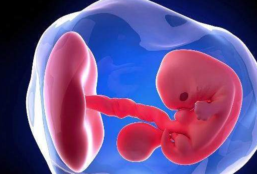 怀孕的哪个阶段容易出现胎儿畸形？医生:过了这个关键期就安全了_检查_筛查_孕妇